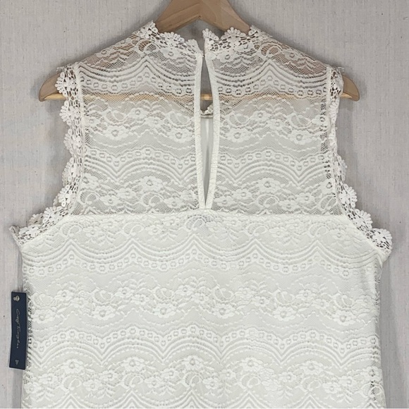 City Triangles~NWT~Sleeveless High Neck Ivory Lace‎ Mini Shift Dress~Sz 2XL - Picture 6 of 14